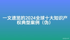 2024全球知识产权案例总结